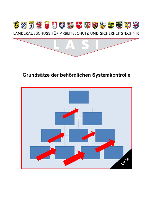 LV 54: Grundsätze der behördlichen Systemkontrolle